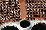 Rost