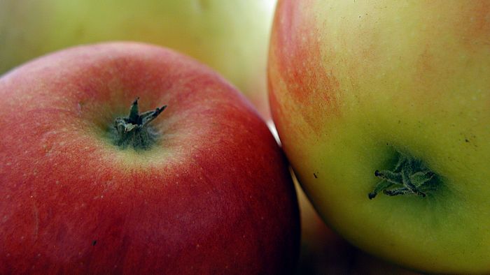 &Auml;pfel