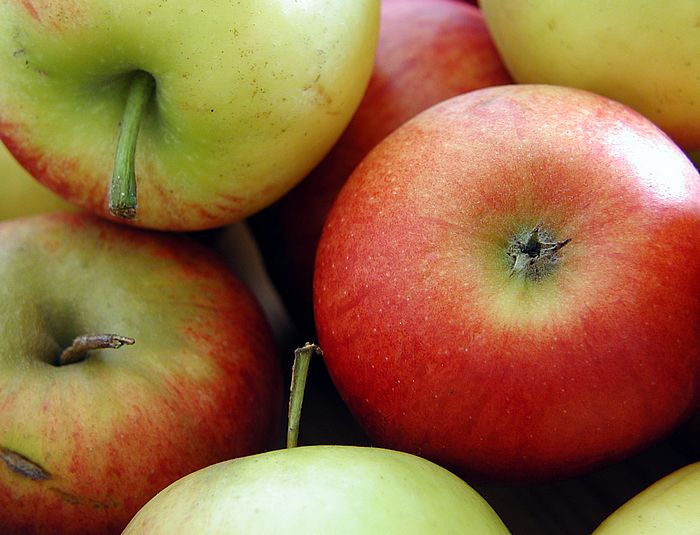 &Auml;pfel