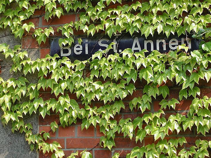 &Uuml;berwuchert